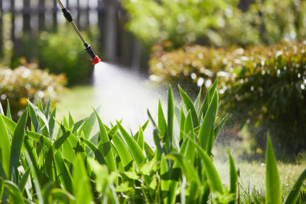 24/7 Emergency Wasp Removal experts in Richwood, LA